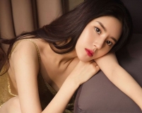 ���������L(zh��ng)����