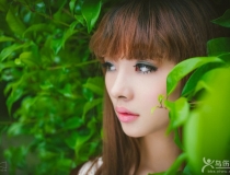 ˸