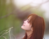 Ļ(dng)