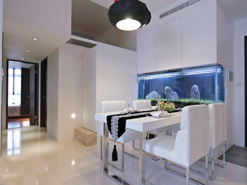 |(zh) 72ƽF(xin)s҃ɏd