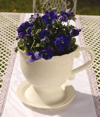 e»ƿ?gu)?li)c(din)c(din)G