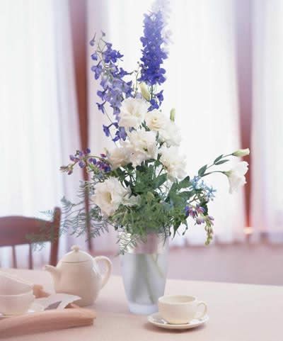 e»ƿ?gu)?li)c(din)c(din)G