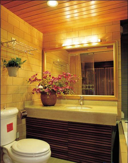 ������Ԣ�b��Ч���D 2011�DƬ���p