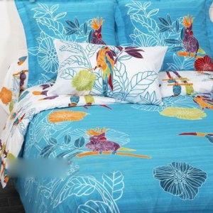 (gu)Ѫy(tng) ײʼҼƷƷ