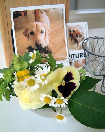 ˽н^߄(chung)Ď׺μҾO(sh)Ӌ