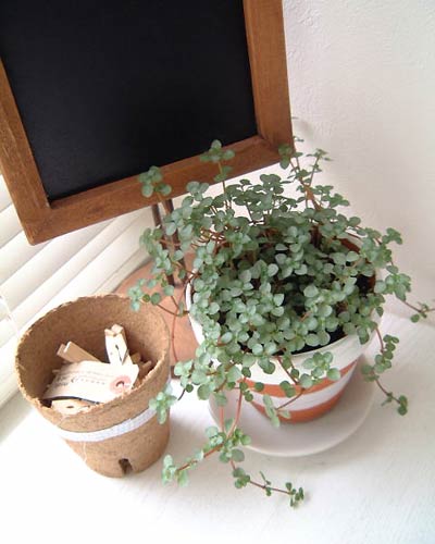 ˽н^߄(chung)Ď׺μҾO(sh)Ӌ