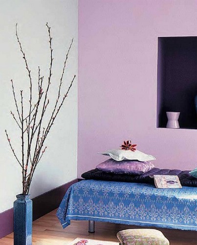 40OĪҊ ׃ס͹Ԣ̫մ