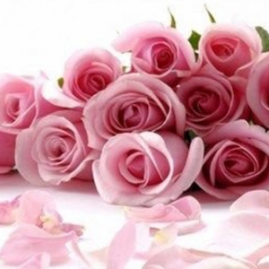 5�N��ͬ��Y����ɫ�{