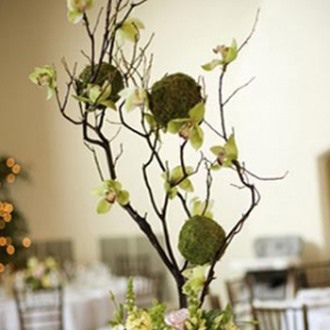 �����Y(ji��)����Ă�(g��)�Ի������