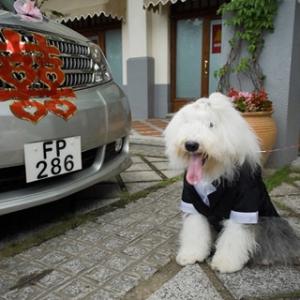 80����Y(ji��)���Ʒ��