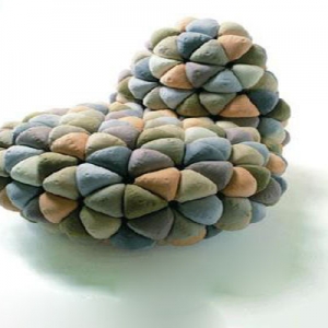 Є(chung)ġ֮ɳl(f) ߀ǿ