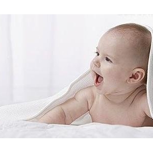 ���o(h��)����С���������_����