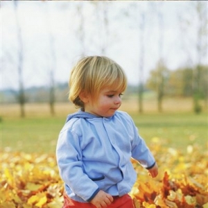 ���B(y��ng)����(x��)�T�͌���ƽ���^(gu��)�ﶬ