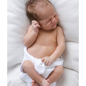 �����w�����L(zh��ng)�^(gu��)���̎��