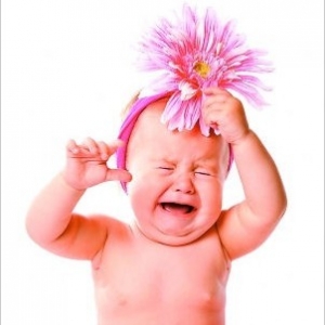 ���ӵ��ۜI���㡰ץ�񡱆�