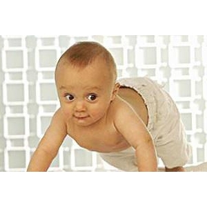 ������7��8��������ʡ