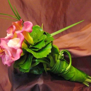 �������Z(y��) ��Y�ϲ��ɻ�ȱ������