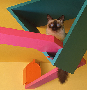 ؈_(d)9fb؈@ rGɫʻ(MD)