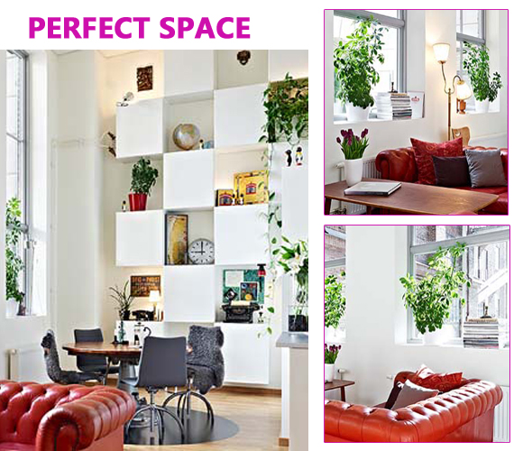 l(wi)ԡ˽ܿg 80bL(fng)