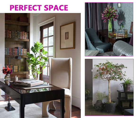 l(wi)ԡ˽ܿg 80bL(fng)