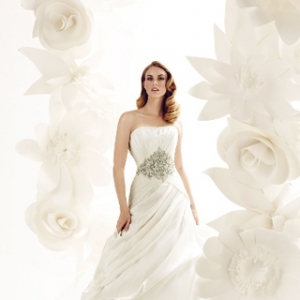 ���Ĳ��ǆ��} ��ֻ����ĸ���