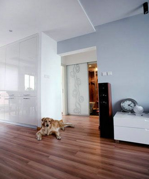 @G60ƽ80W(wng)5fԪxܛb