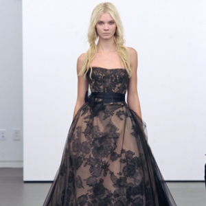 ���Fɭ�ֵ����� �y������Ļ鼆ɫ��