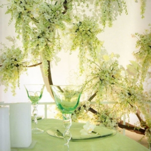 �kһ��(ch��ng)��(d��)�߽��ĵĂ�(g��)�Ի�Y