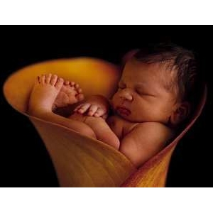 ��a(ch��n)���a�}�����ڰl(f��)��