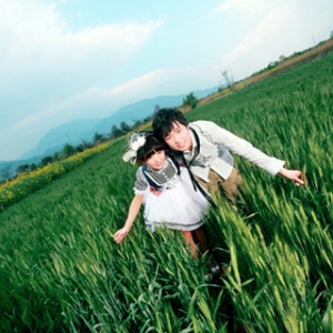 ������ʡ�X ���������鼆��