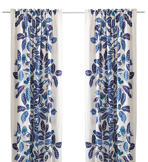 (sh)übҾ ʕr(sh)вˇ