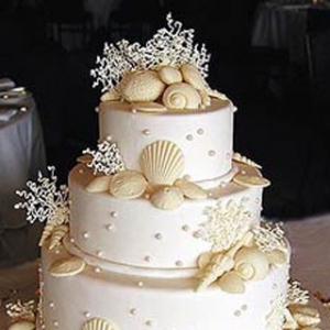 ��(l��i)�һ�Y�������w��(hu��)�����L(f��ng)��