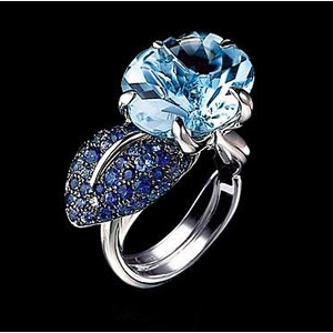 ����ָ�g�`�����˹��