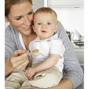 ����Ҫ������������