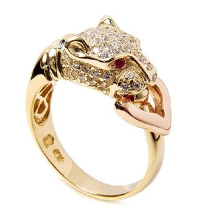 ������ָ�g���