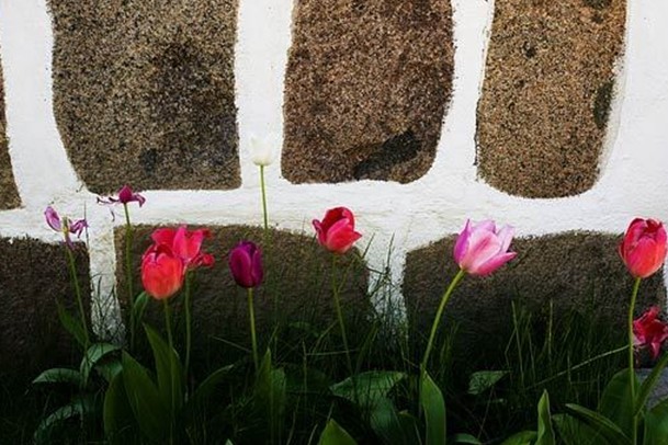 F(xin)ʽL(fng) ܛbr(sh)