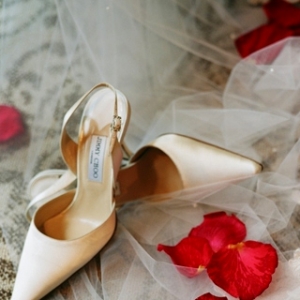 ����������x�Լ��Ļ�Ь