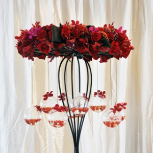 ��Y�û� ������������