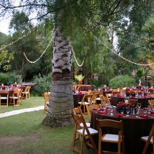 ����(zh��n)��Yȫ����