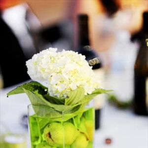 �o��Y��ɫ�Ď��cСƫ��