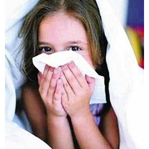 �����{���������S��o�׃���