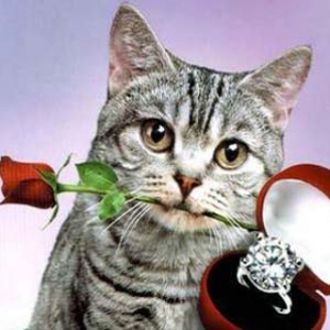 ���Ҳ��Ц��