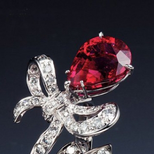 ����tɫ���ů������Y