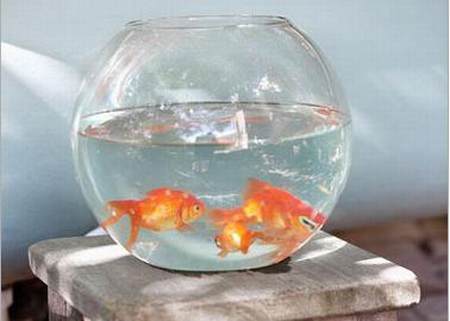 \(yn)LL(li) ҾL(fng)ˮעİc(din)(MD)