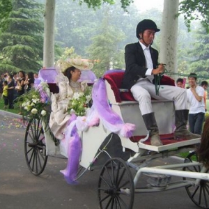 ���˱�֪�Ļ�Y��܇ע�����