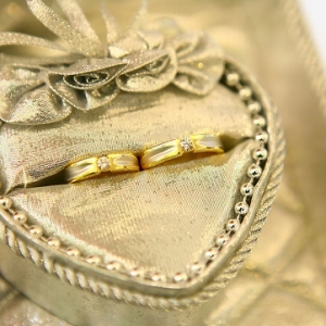 �ɌW�����錚�ճ����B(y��ng)9��