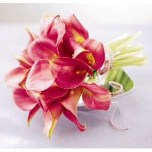 ���Ի��Z֮��c�û��x��