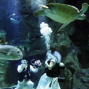 �ļ�������ˮ�»�Y