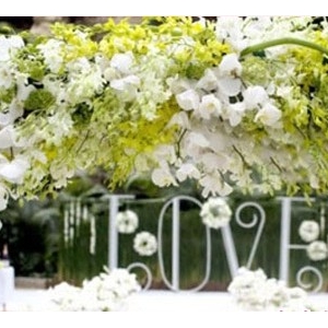 ������Ȼ��ɫ �ļ����粼��