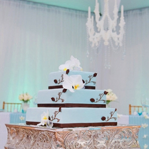 ������Y���ⶨ��С�Nʿ